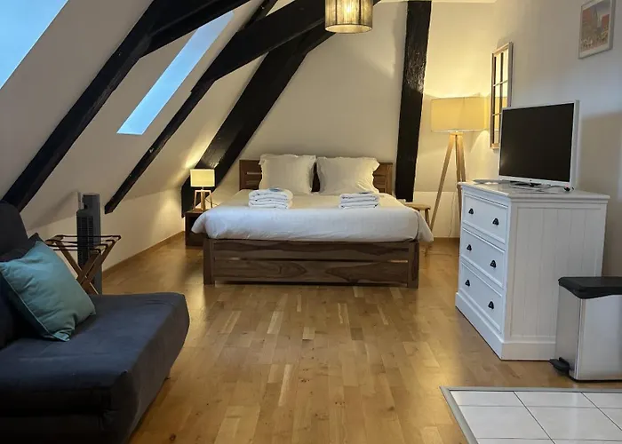 L'ecume Des Jours Appartement Colmar