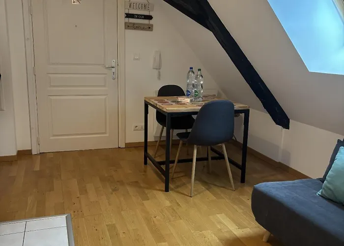 L'ecume Des Jours Appartement Colmar